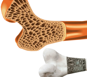 ساخت داربست های نانو کامپوزیتی